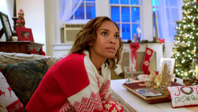 Reviewing A New York Christmas Wedding