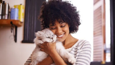 lesbians love cats
